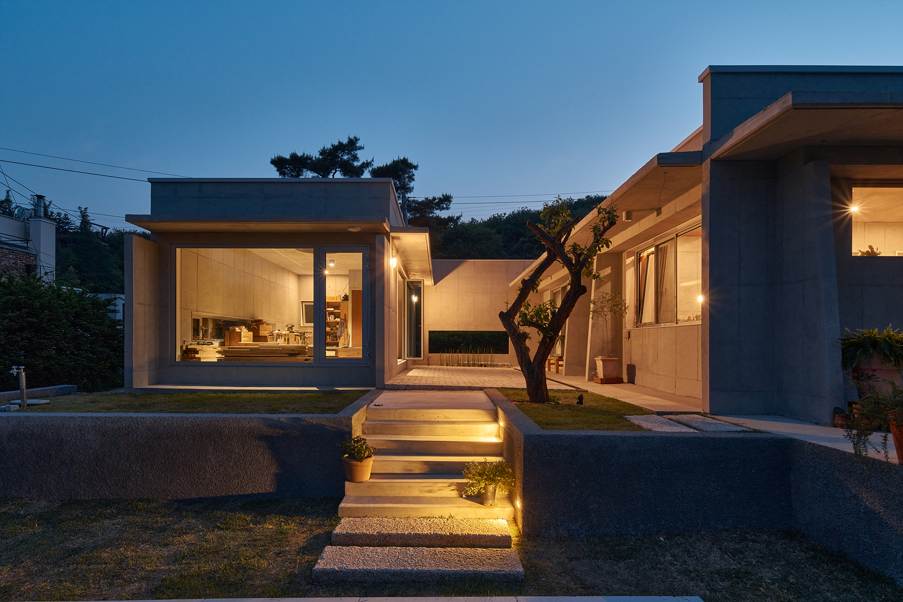 Seoga, Yeoju : A Plum Tree Preservation Project