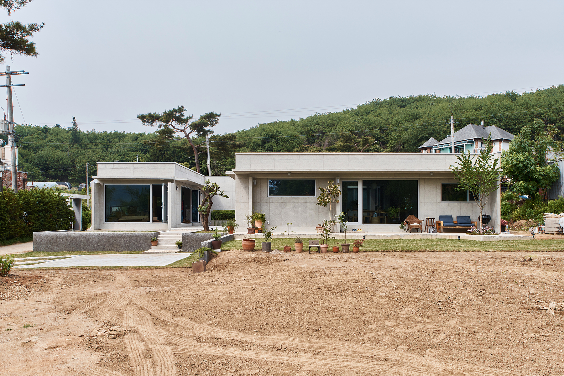 여주 서가 : 徐家 (자두나무 살리기 프로젝트)