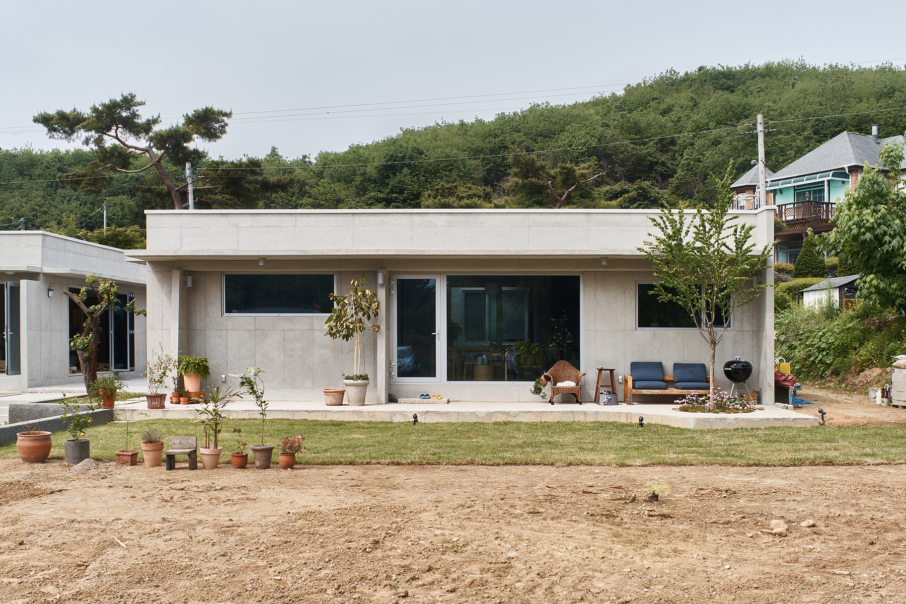 여주 서가 : 徐家 (자두나무 살리기 프로젝트)