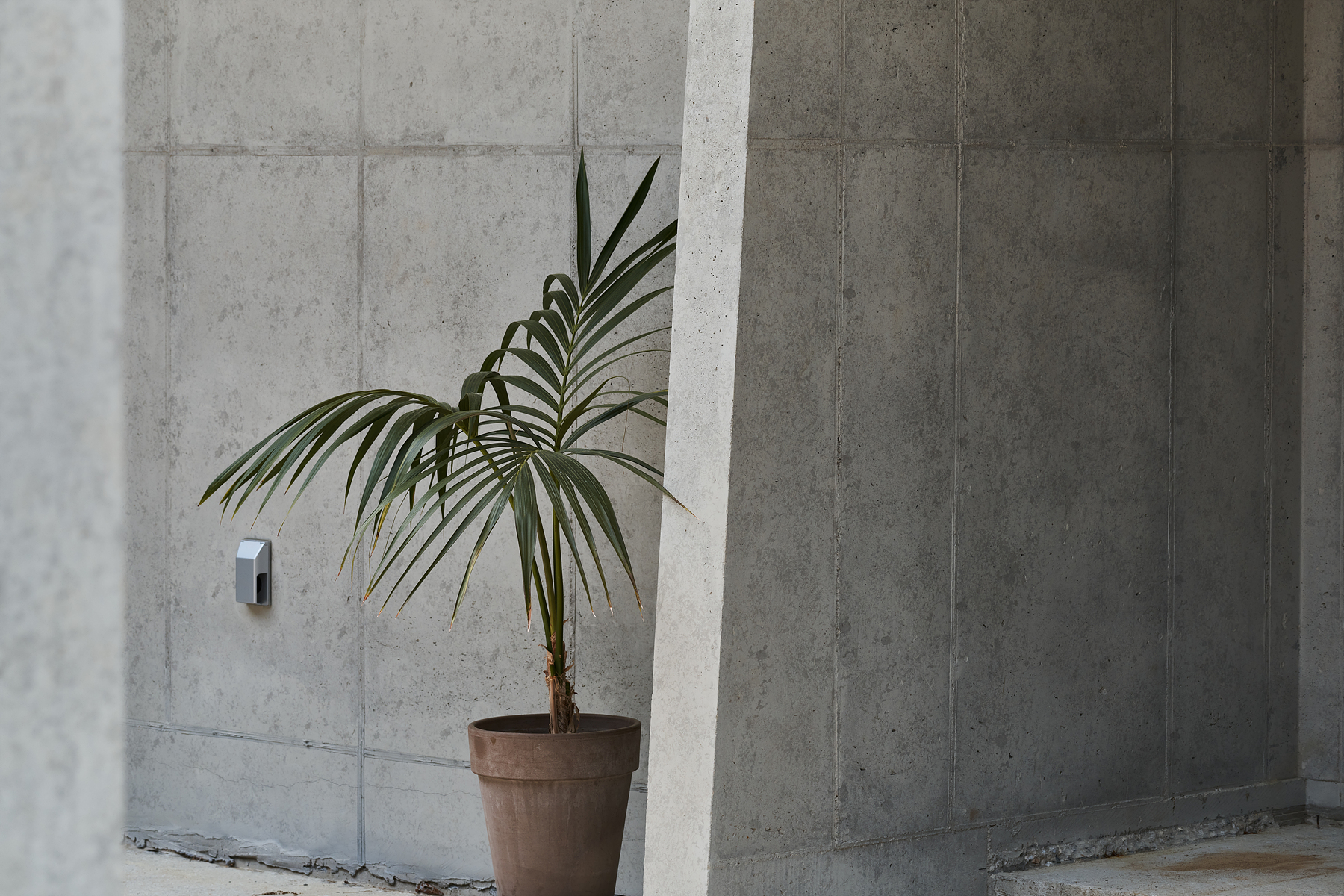 Seoga, Yeoju : A Plum Tree Preservation Project