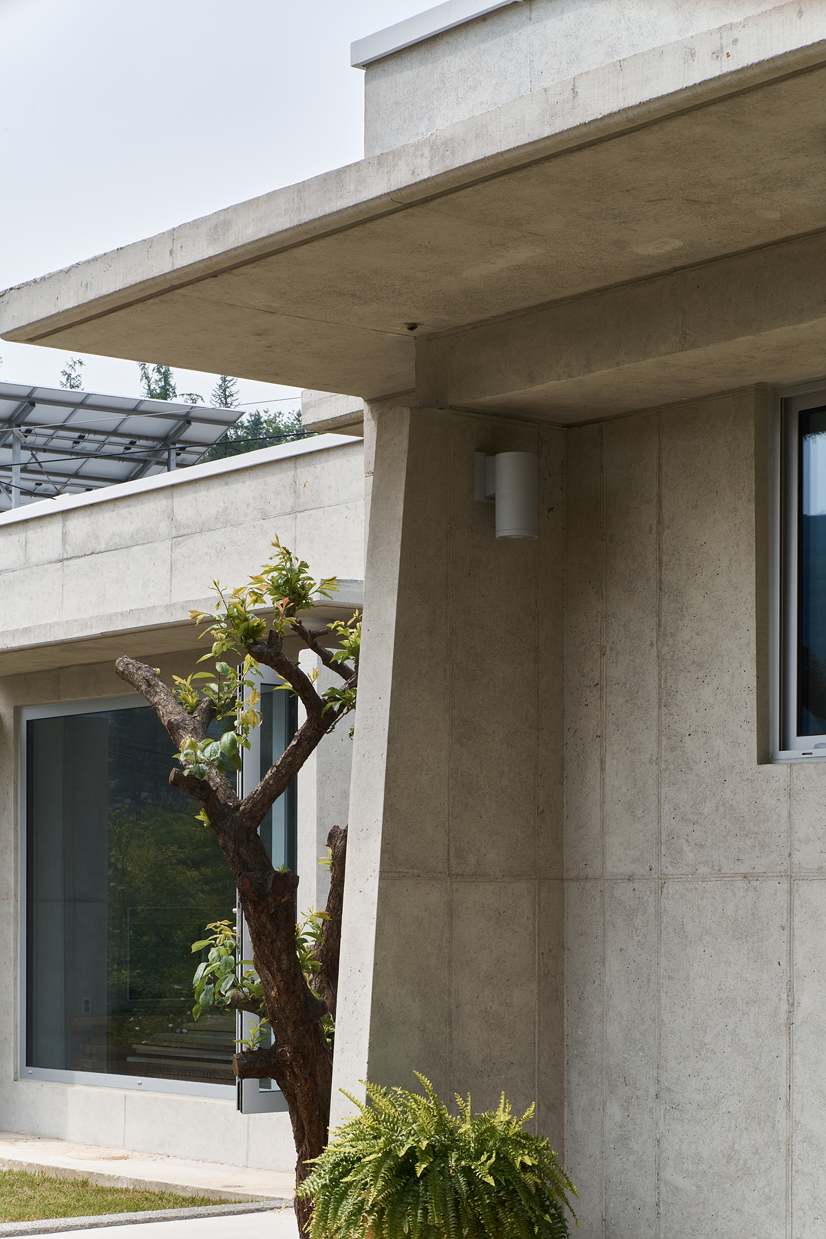 Seoga, Yeoju : A Plum Tree Preservation Project
