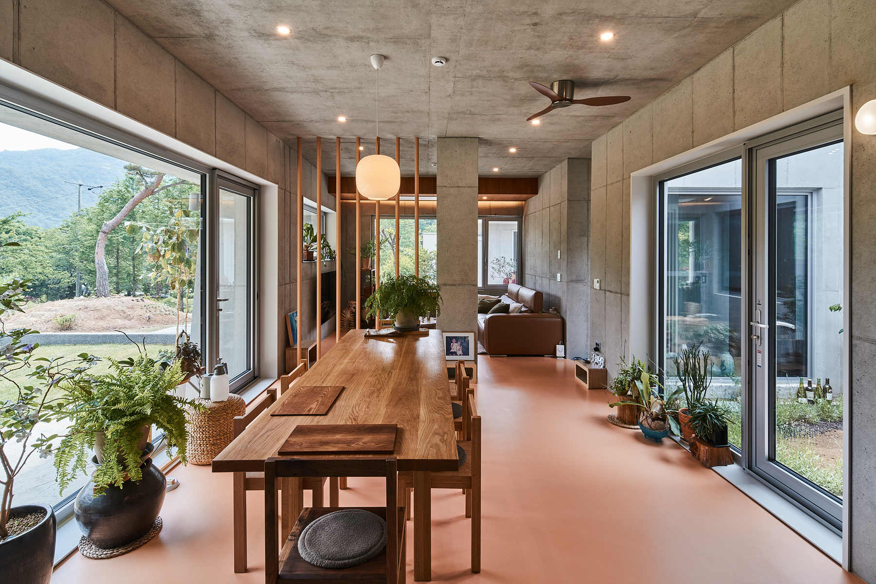 Seoga, Yeoju : A Plum Tree Preservation Project